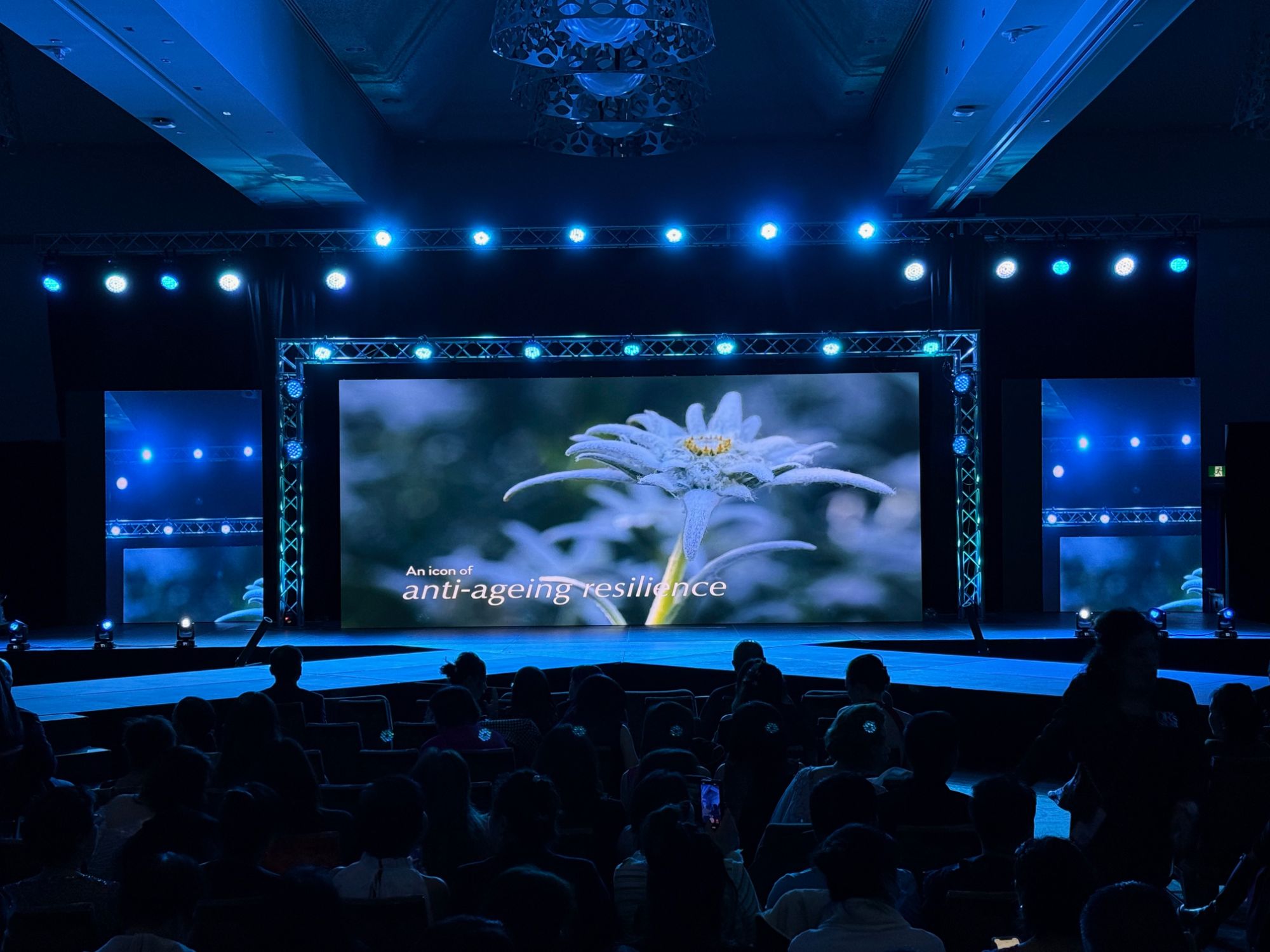 Gala stage with a centre LED screen and two sponsor side screens in a hotel ballroom